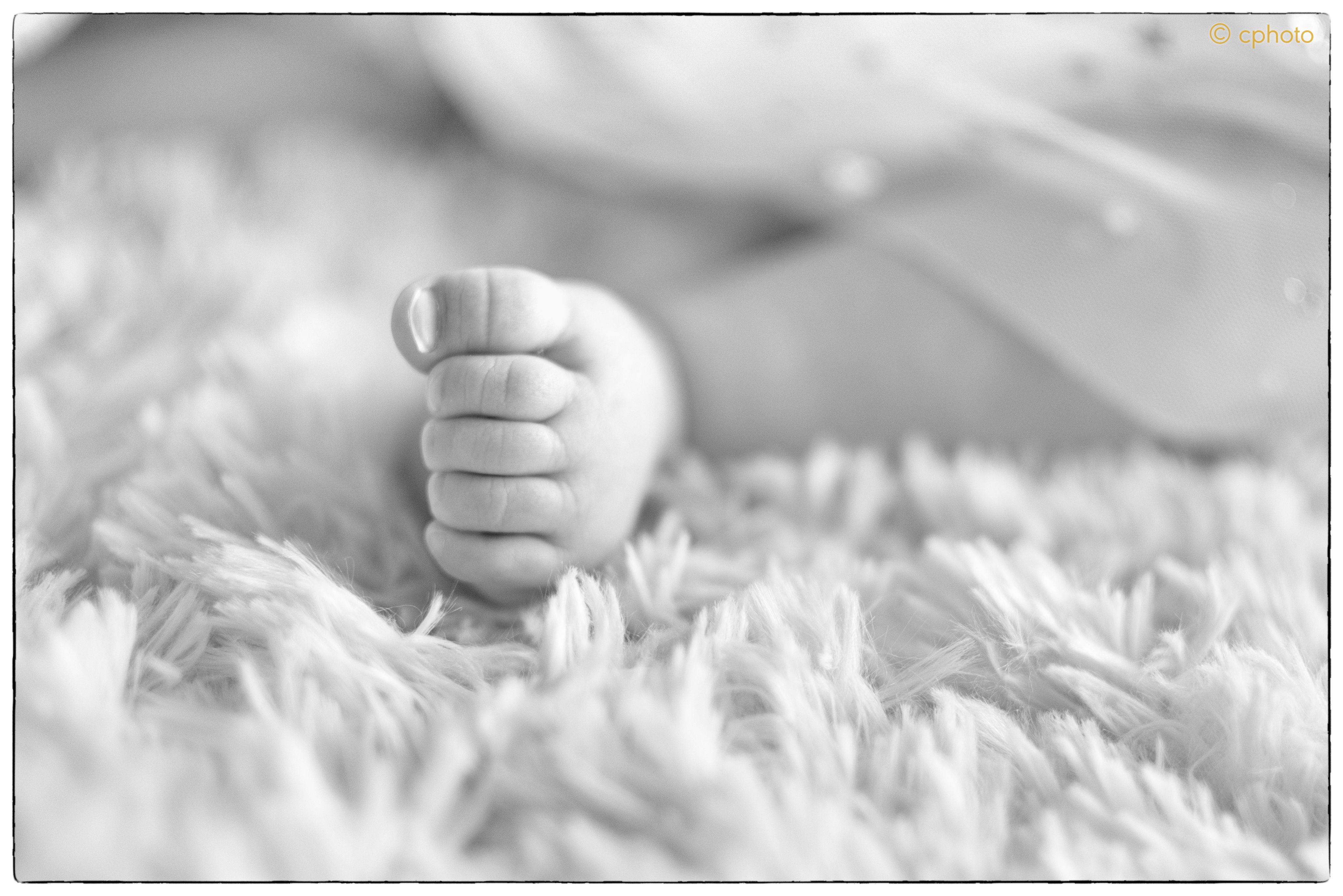 Laura - noch auf kleinem Fuß