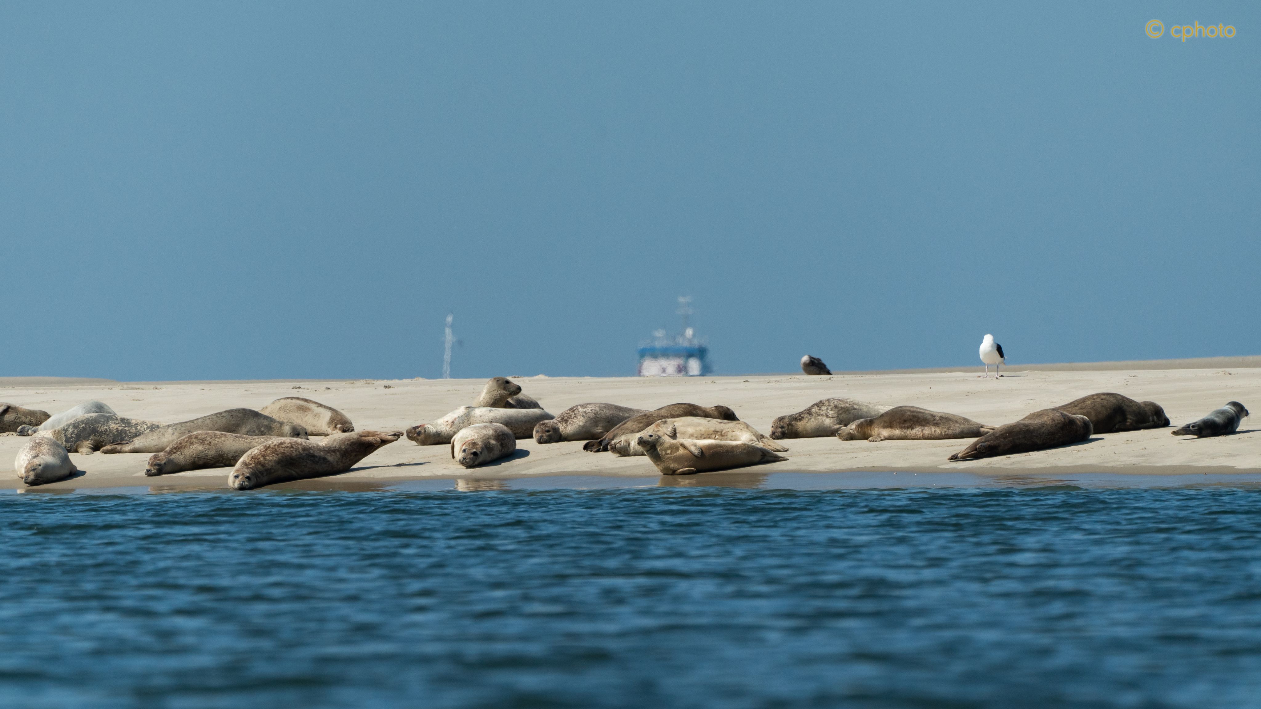 Wasserkünstlerpause