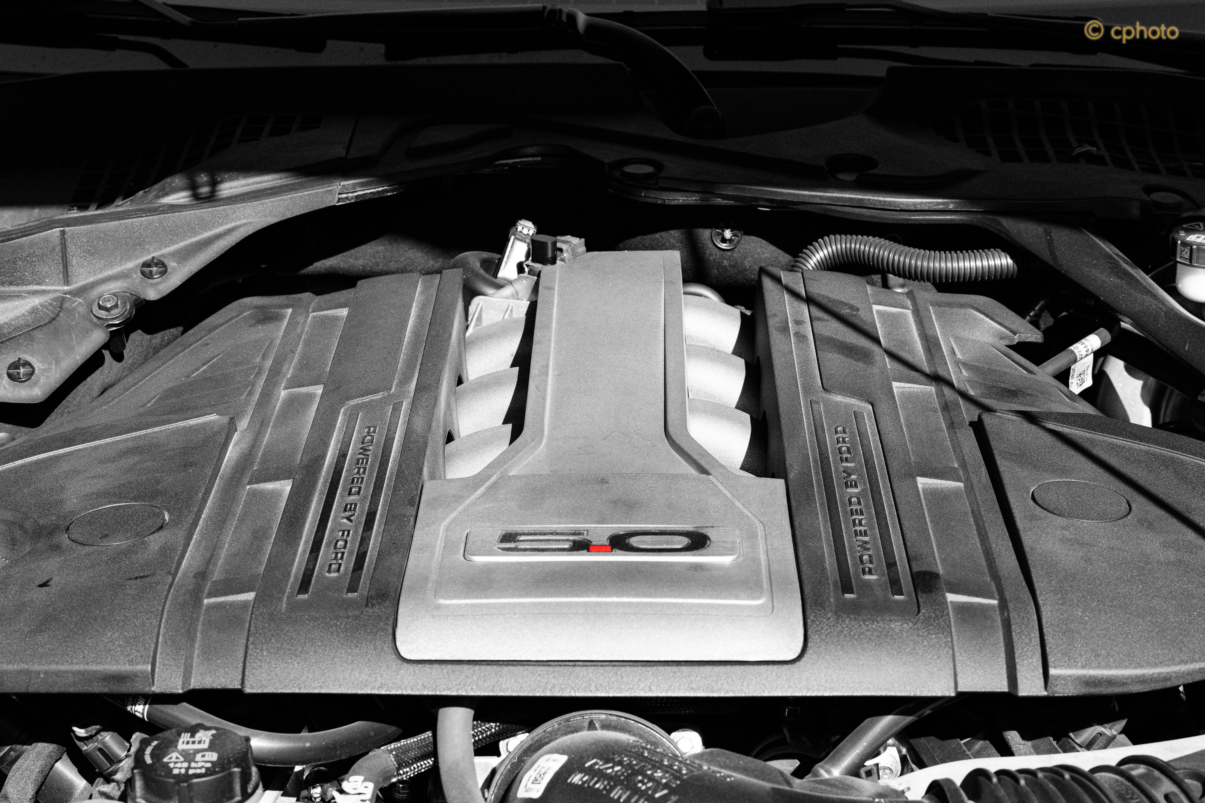 The power of a mustang