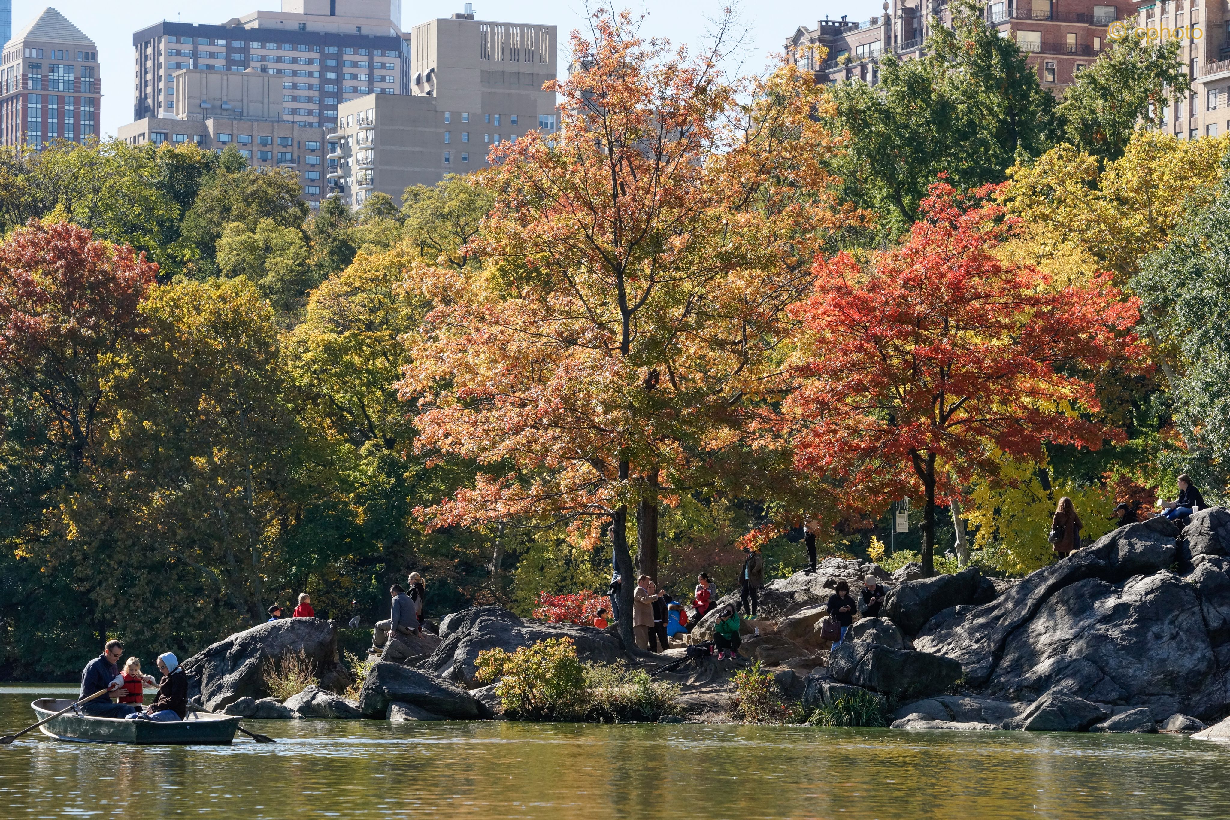 New Yorker on the rocks